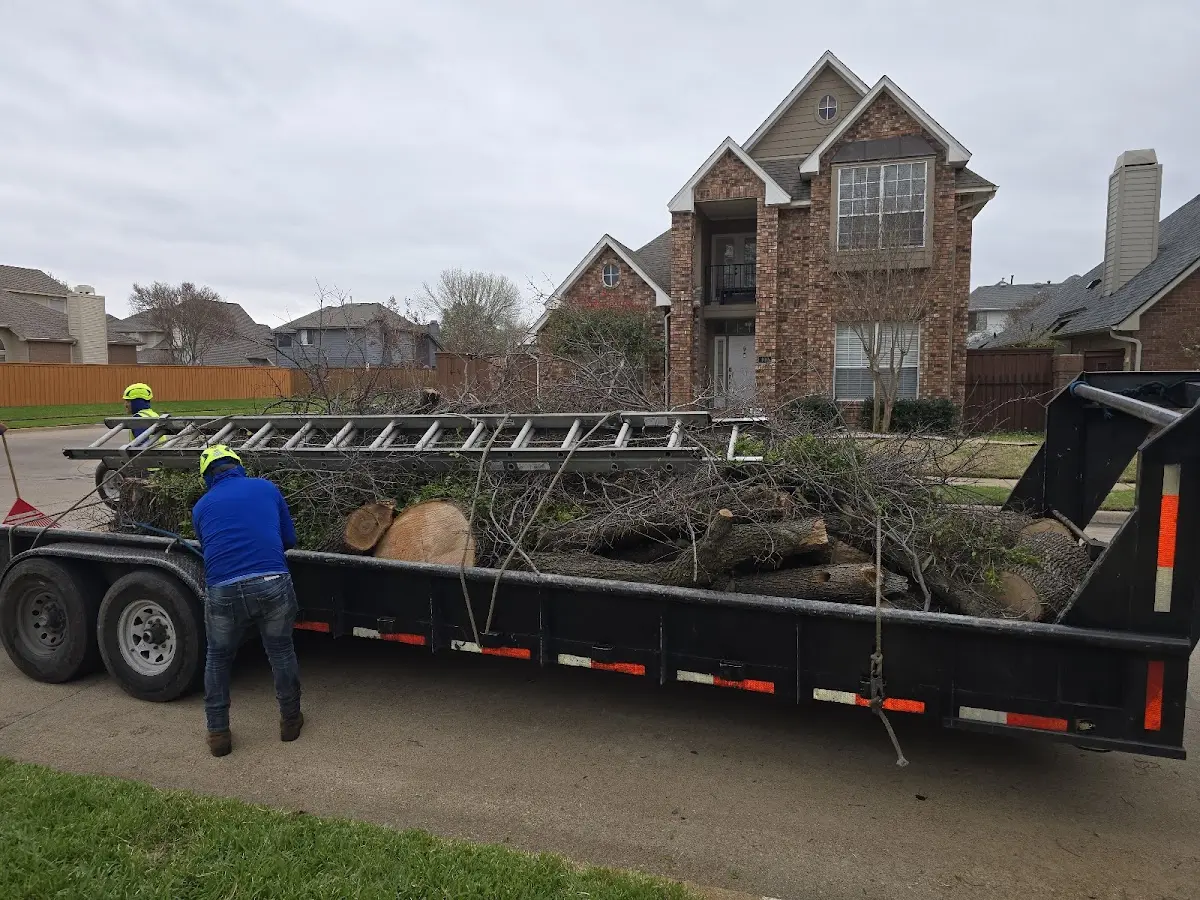 Expert Crown Reduction with proper safety equipment in Auburn Hills